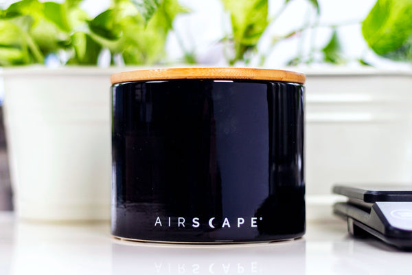 airscape coffee canister